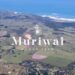 Muriwai Downs