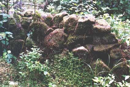 waipoua forest stone ruins